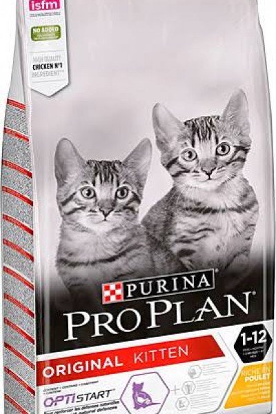 Proplan Kitten (Yavru) Kedi Maması 1 KG