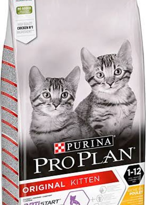 Proplan Kitten (Yavru) Kedi Maması 1 KG