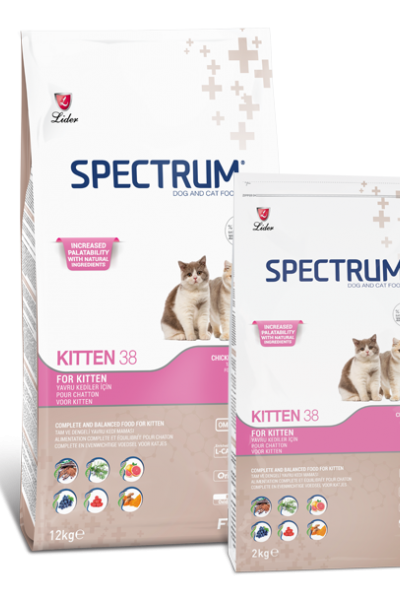 Spectrum Kitten 38 Yavru Kedi Maması 1 KG