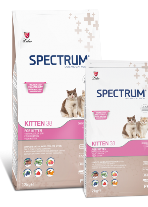 Spectrum Kitten 38 Yavru Kedi Maması 1 KG