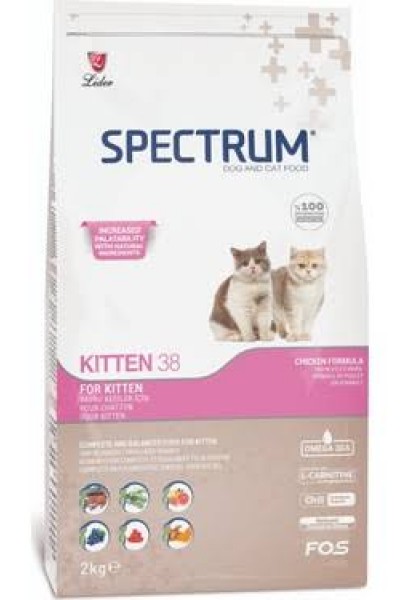 Spectrum Kitten 38 (Yavru) Kedi Maması 2 KG Kapalı Paket