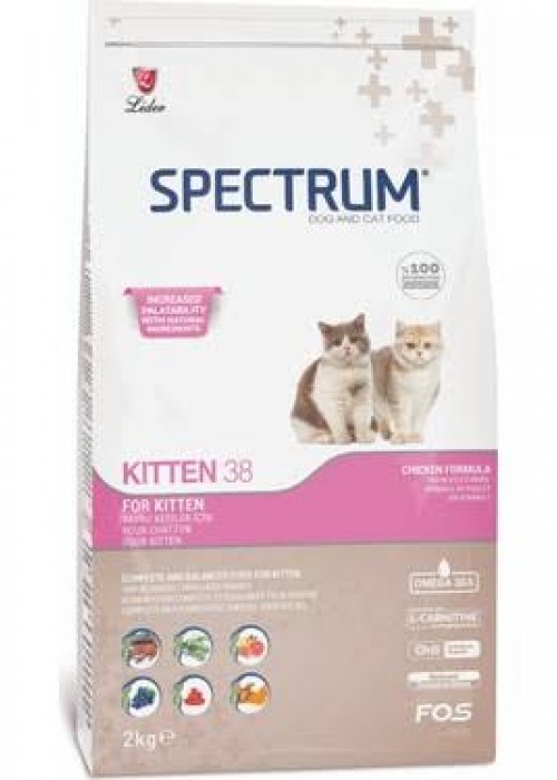 Spectrum Kitten 38 (Yavru) Kedi Maması 2 KG Kapalı Paket